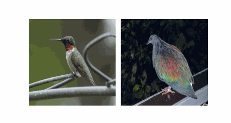 Qualitative Result GIF 1